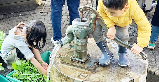 井戸水で大根を洗う子供の写真
